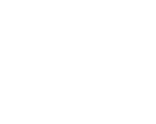BWAI