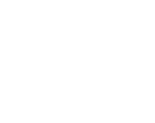 They Consulting