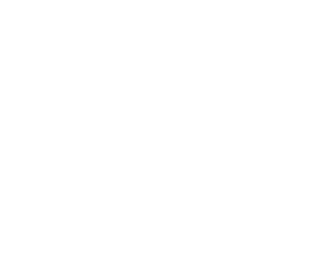 BWAI