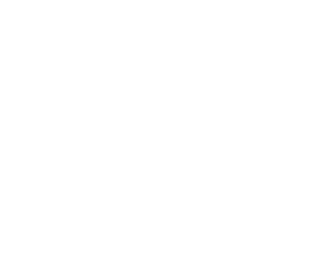 They Consulting